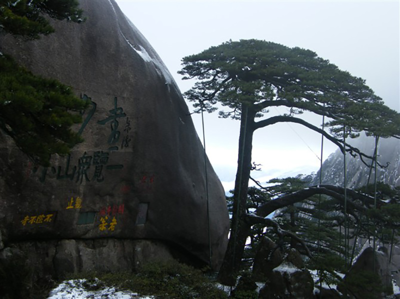 2009年3月份集團(tuán)工會組織全體員工外出旅游活動8.jpg